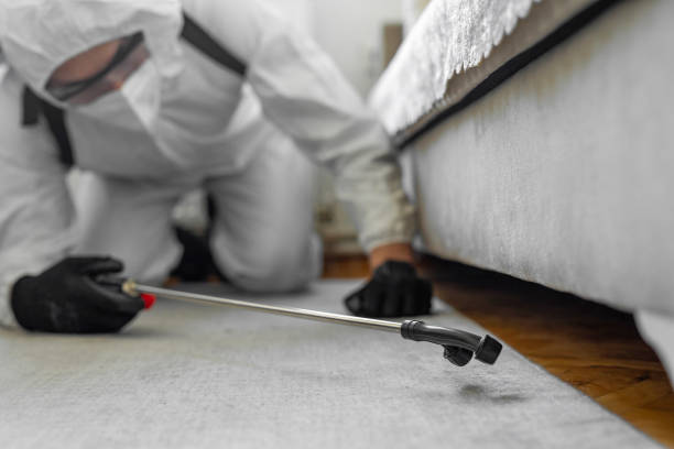 Professional Bed Bug Control technician working in Robertsdale, AL