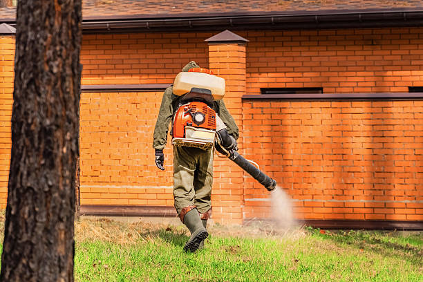 Trusted Rodent Control service in Robertsdale, AL - Nex Pest Control